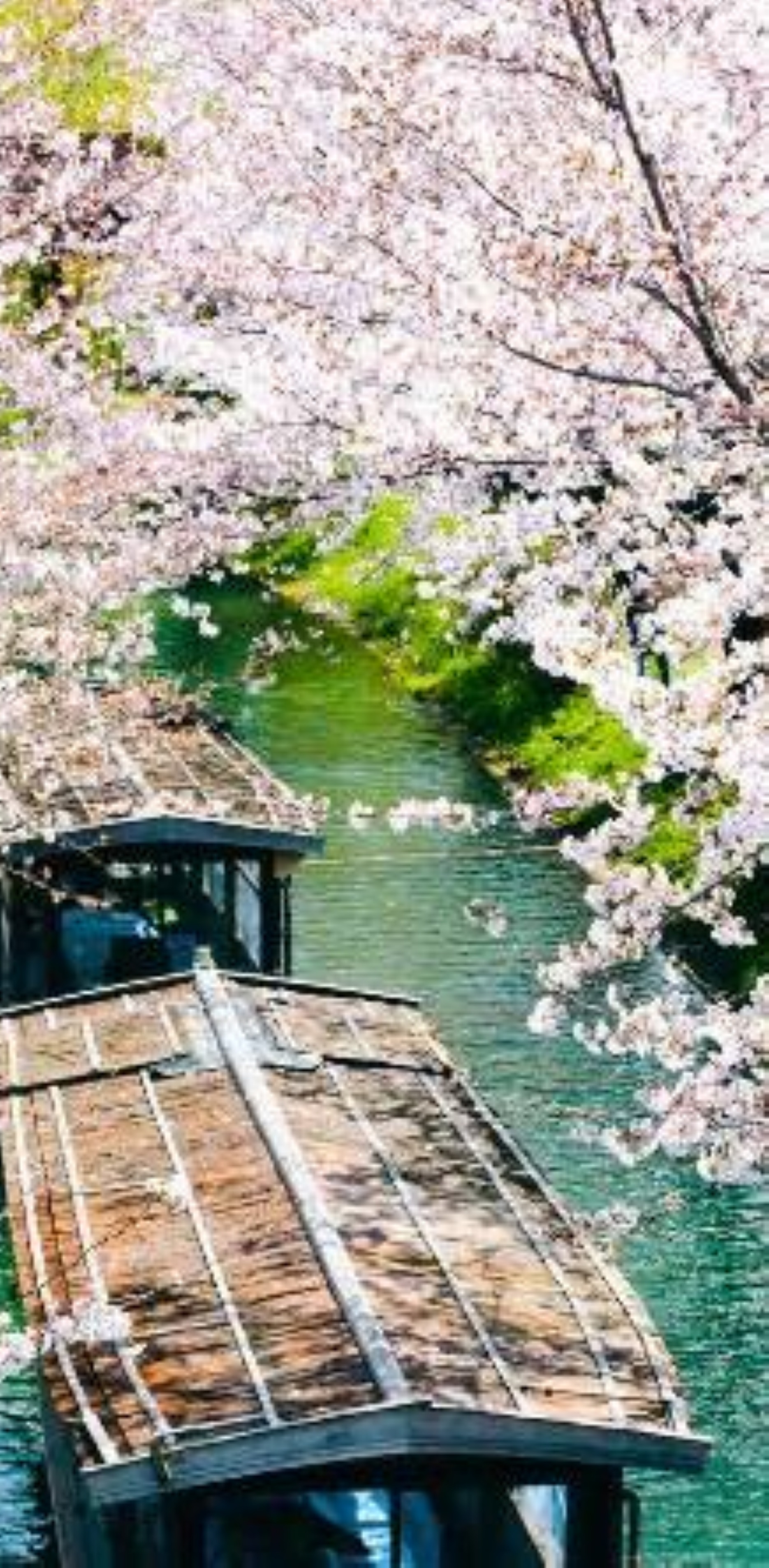 Japonya