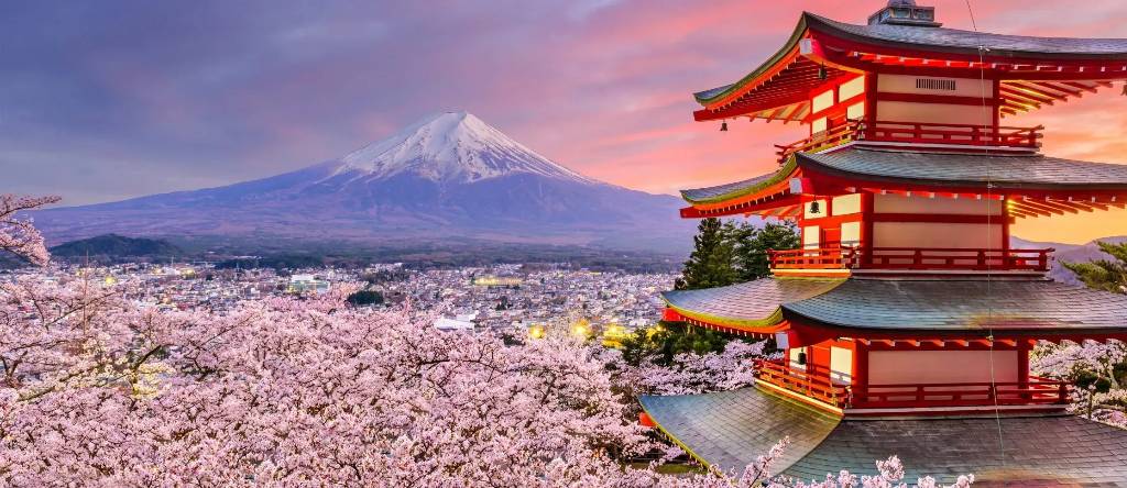 Japonya